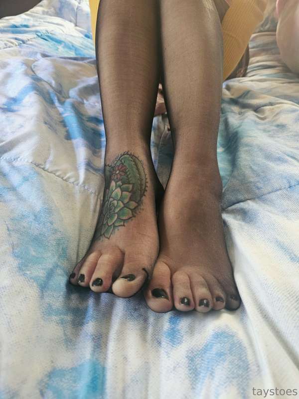 taystoes