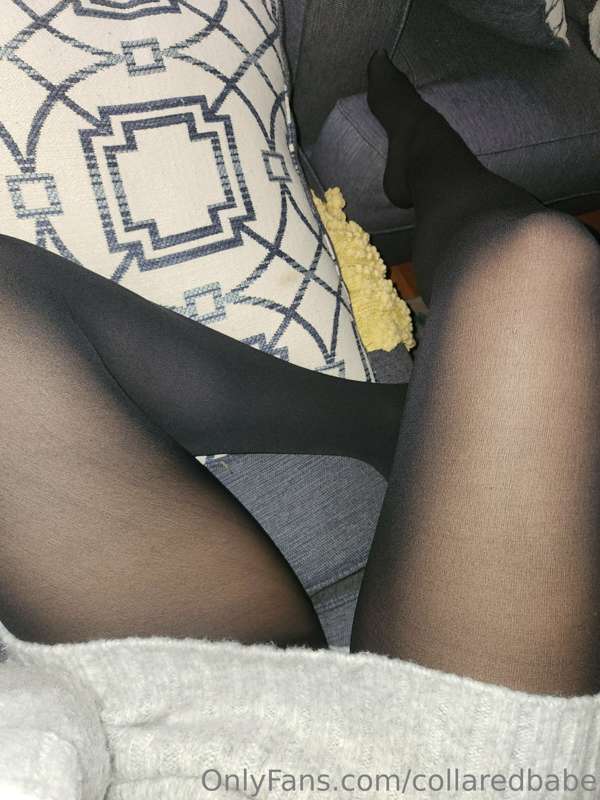 collaredbabe image #0