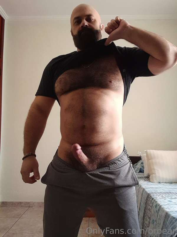 brbear