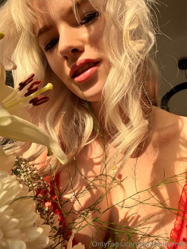 ava.ecup image #0