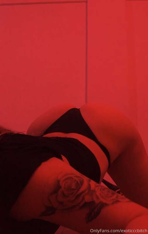 exoticccbitch image #0