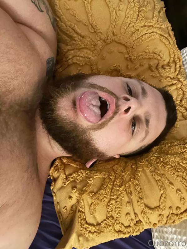 cubzorro