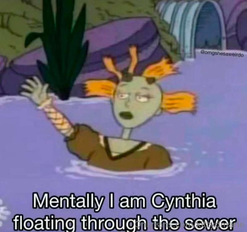 media
