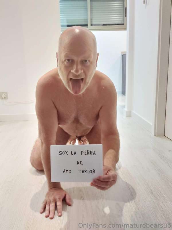 maturebearsub