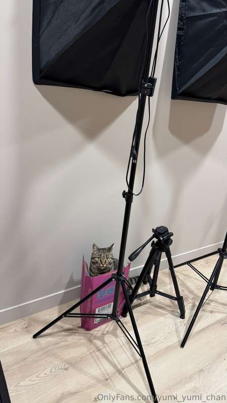 media