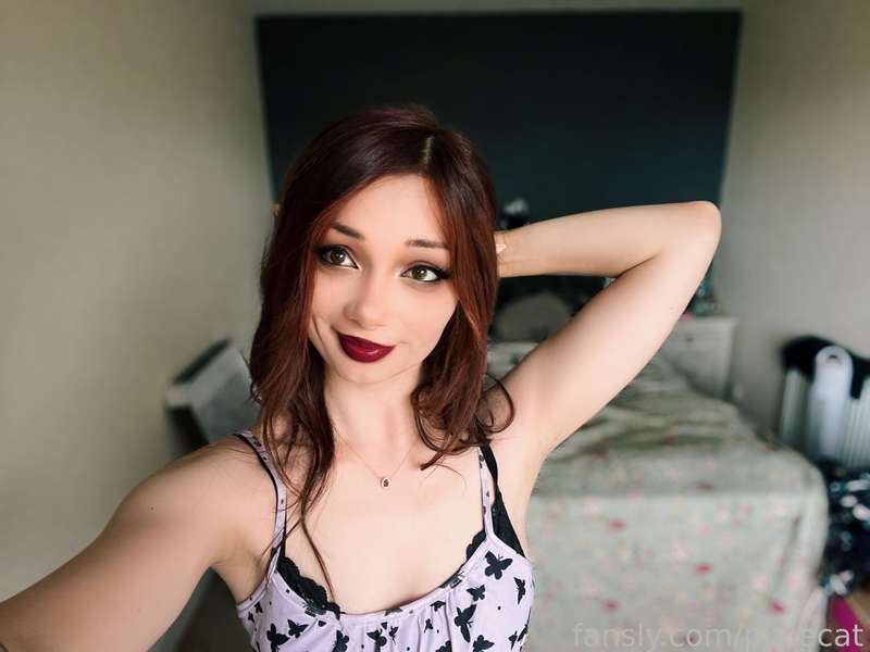 pixiecat image #29
