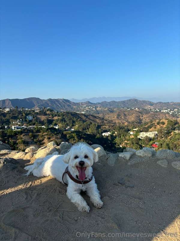 Happy sunday! 🤭🐕
