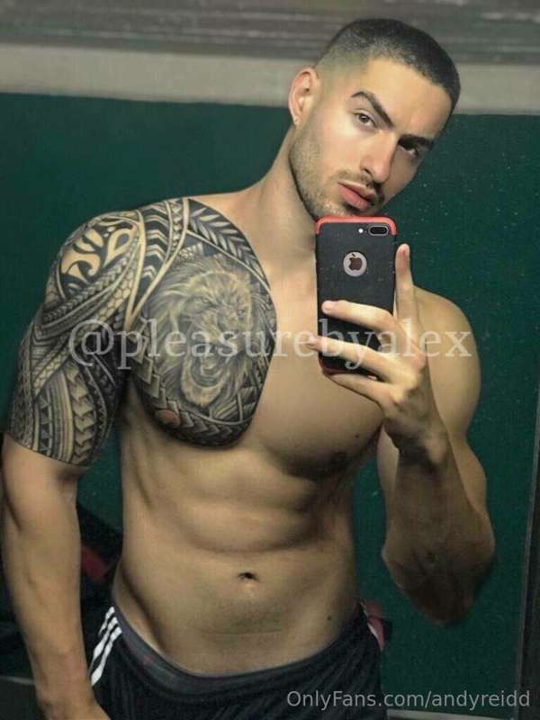 andyreidd