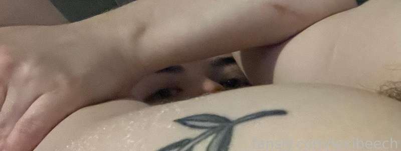 lexibeech image #8
