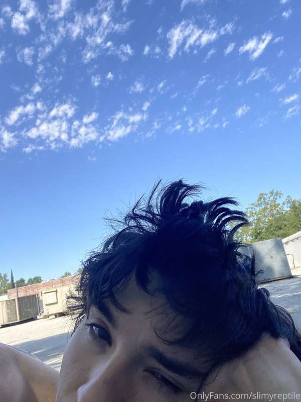 slimyreptile