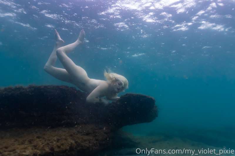 my_violet_pixie image #2