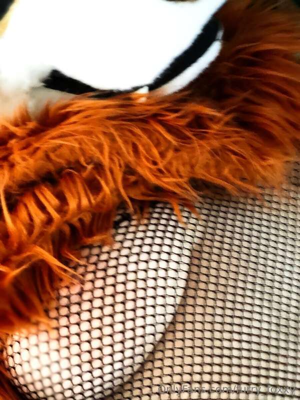 furry_foxxy