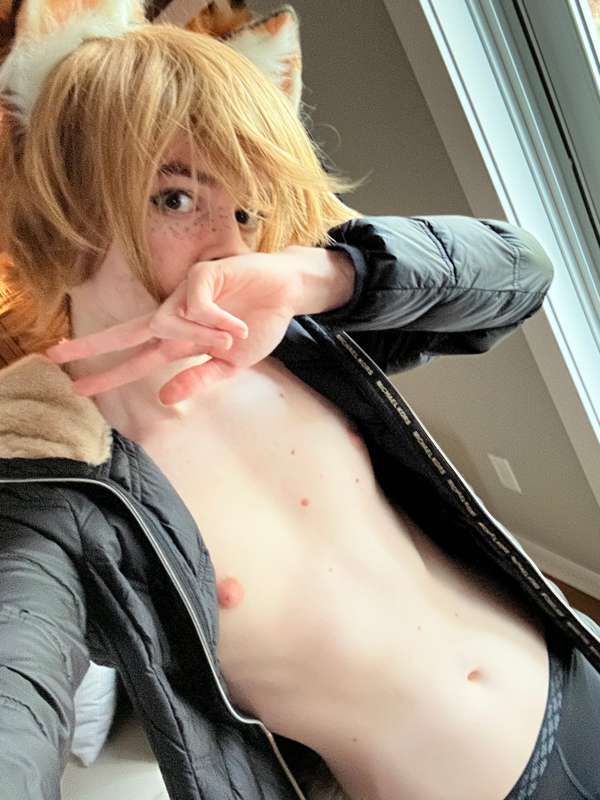 catboiaoi image #1