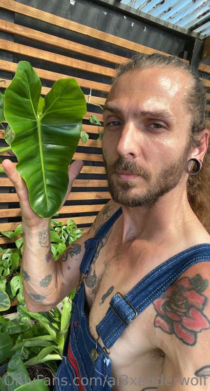 Plant Daddy vanilla jobs are the best