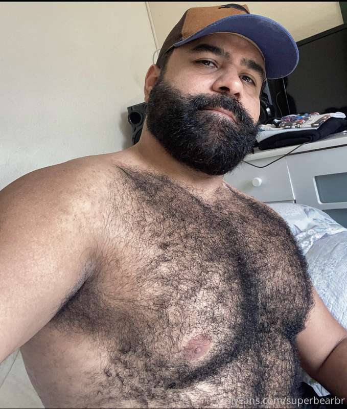 bearwoofbr