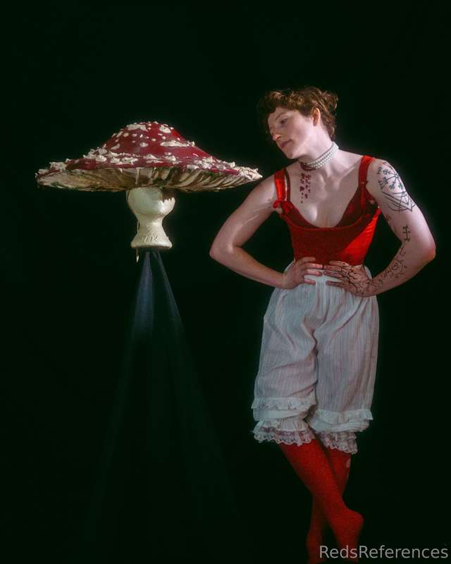 redsreferences image #4