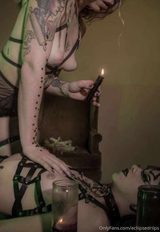 bowtome333 image #0