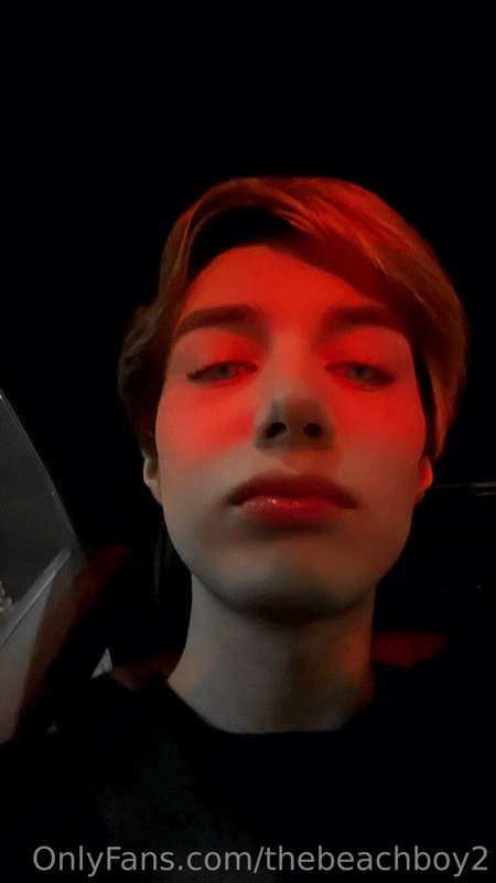 sergioleonvids