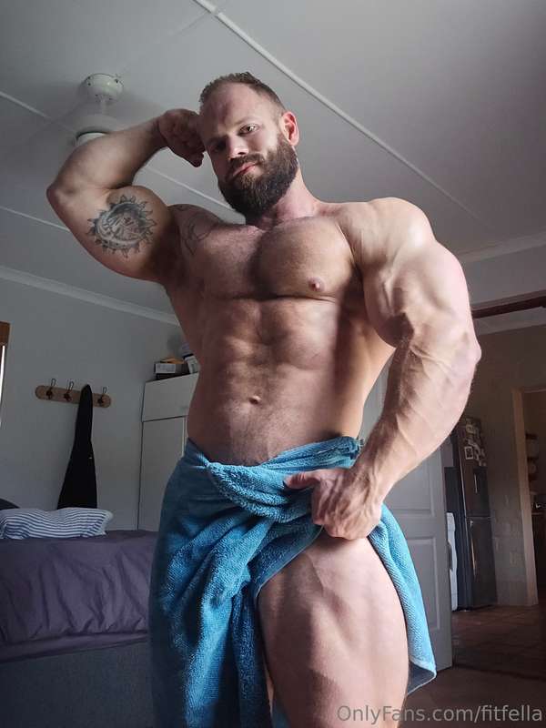 fitfella