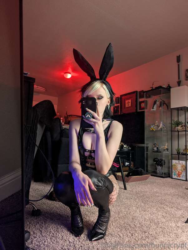 bunnicrypt image #13