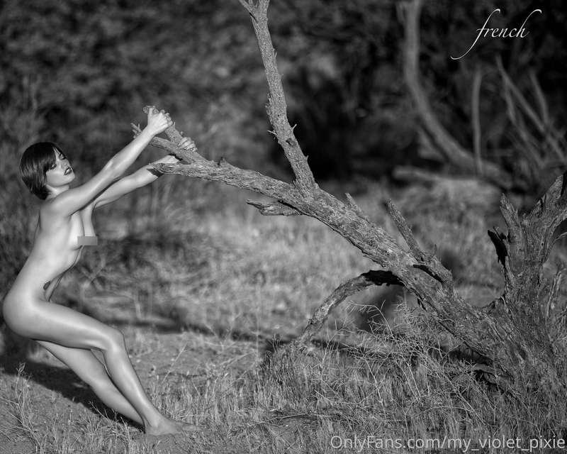 my_violet_pixie image #1