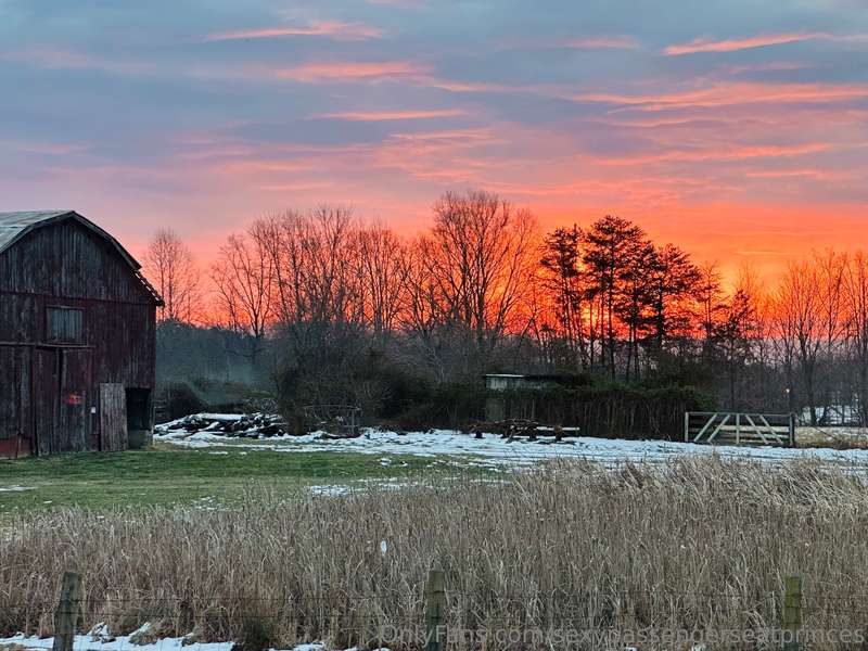 sexypassengerseatprinces