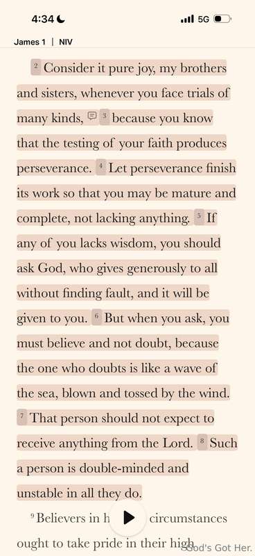 Perseverance 🕊️