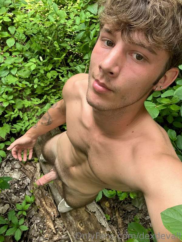 on some wood with my wood 🌲