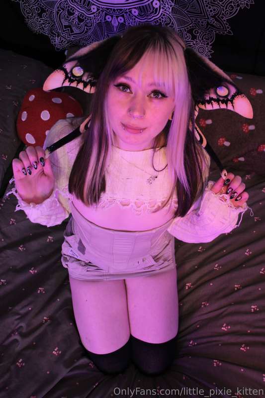 little_pixie_kitten
