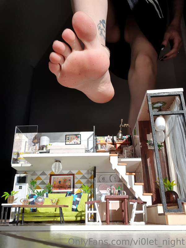 I finished my tiny house model! Now taking applications for ..