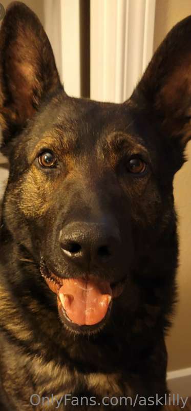 For those that asked for pic of my dog!🐾❤️