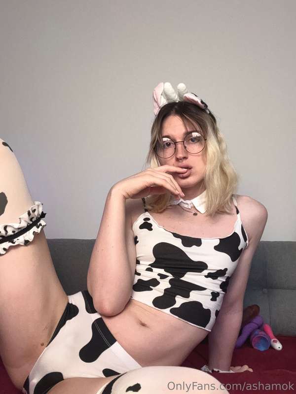 Moo 🐮 