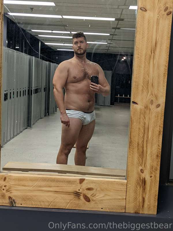 thebiggestbear