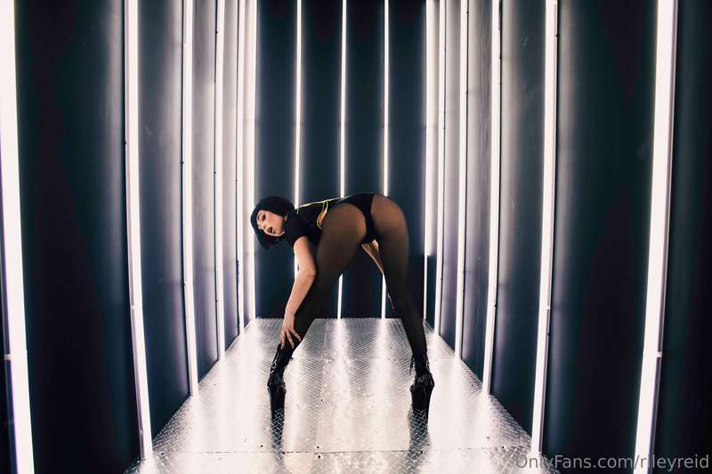 Foto 297 von Riley Reid auf Tocromo