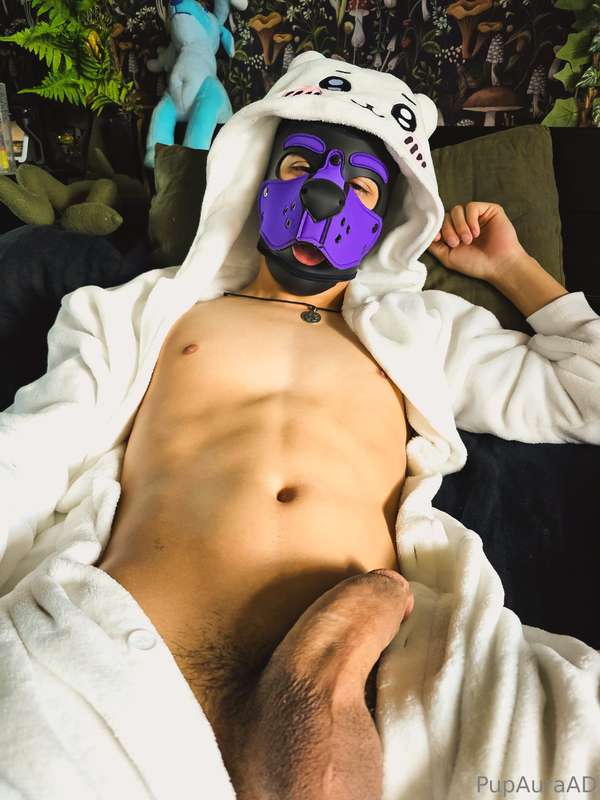 Kigu puppy!!🥺💜