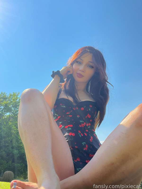 pixiecat image #6