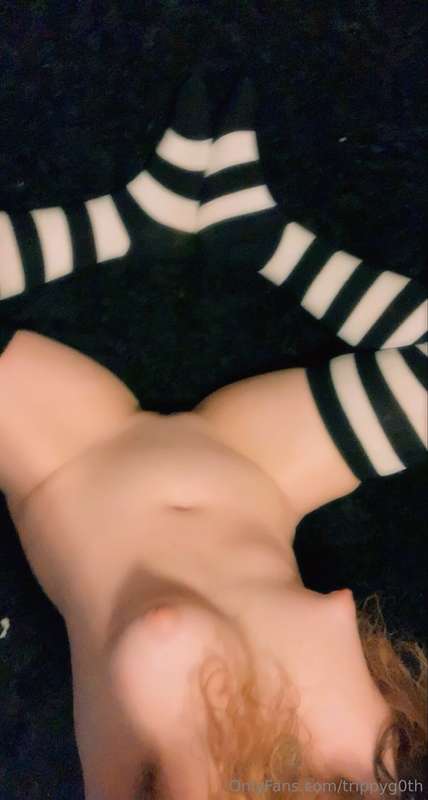 🐱🫶🏻
