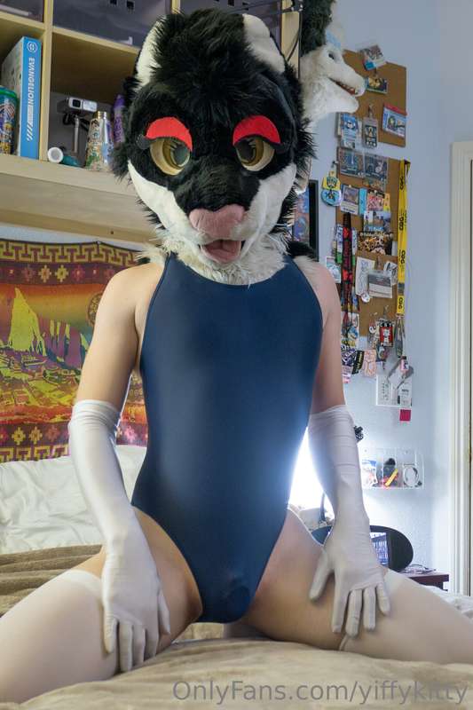yiffykitty