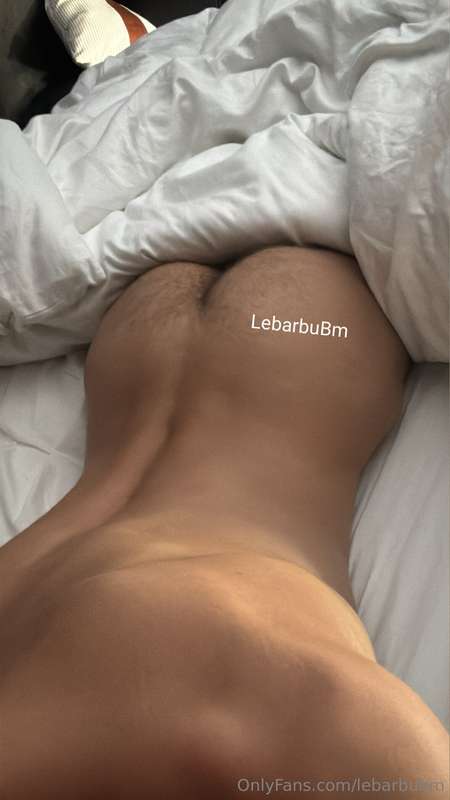 lebarbubm