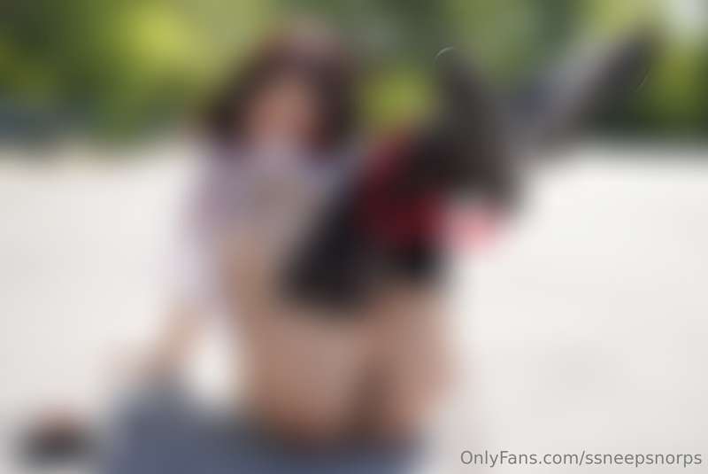 ssneepsnorps