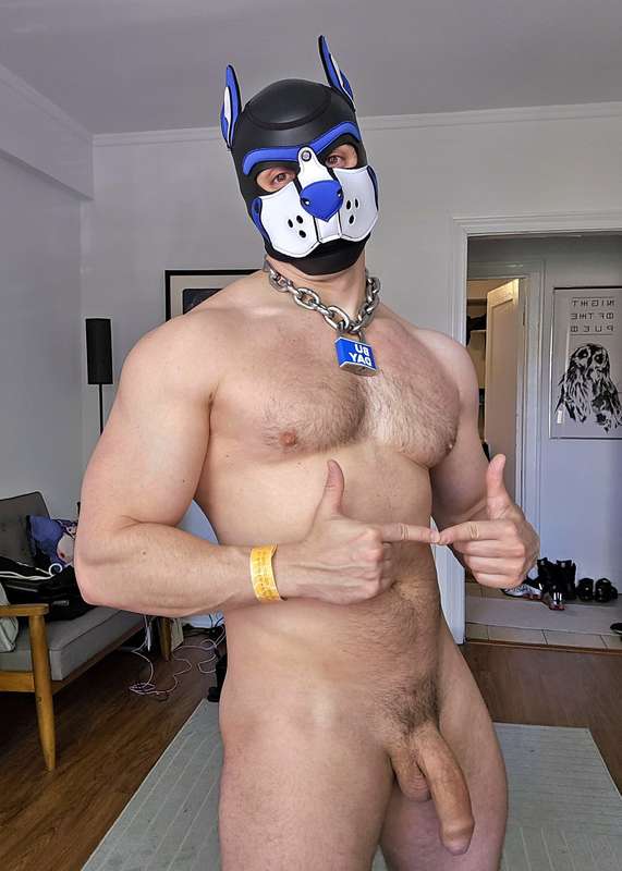 pupbuday