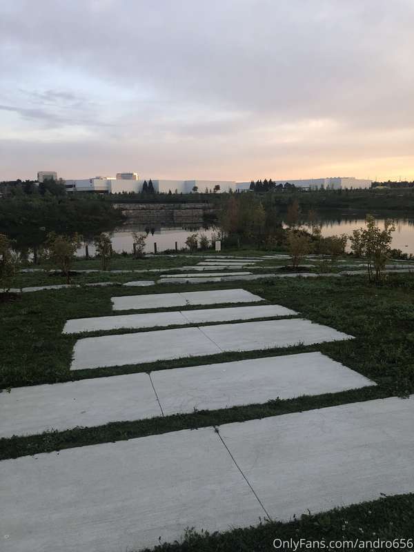 andro656 image #3
