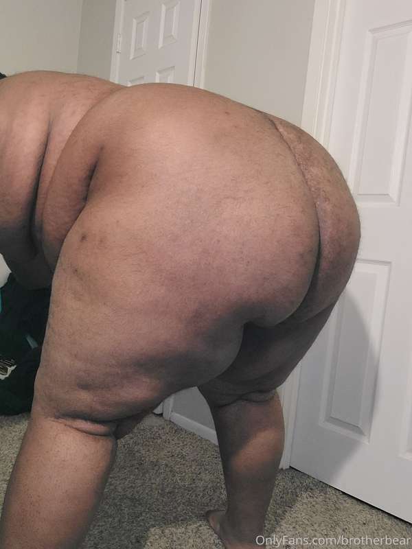 brotherbear image #0