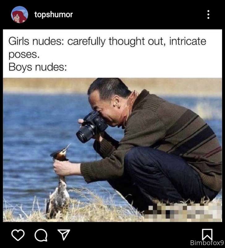 media
