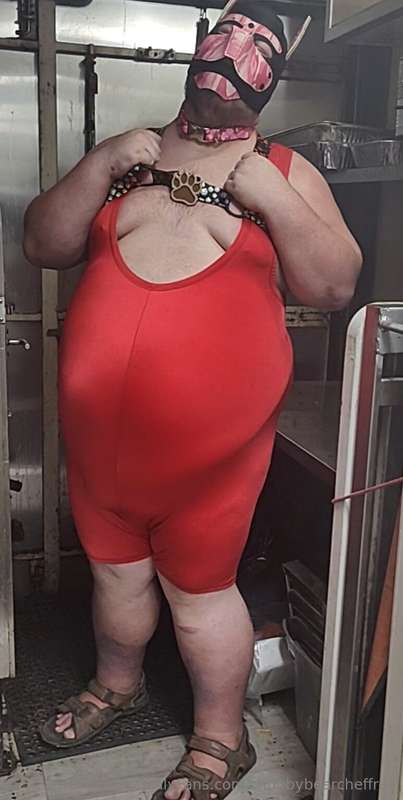 chubbybearcheffree