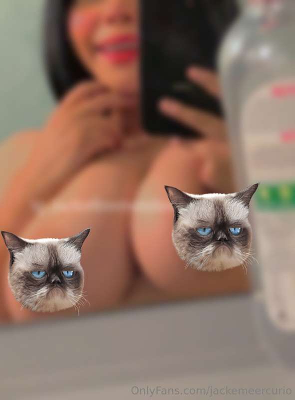jackemeercurio