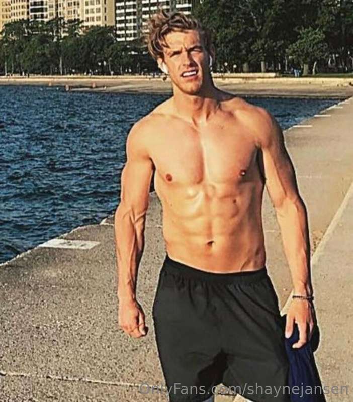shaynejansen