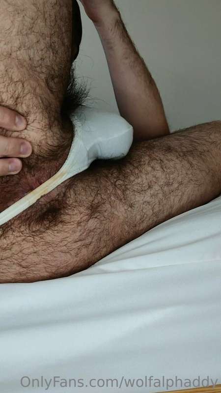wolfalphaddy image #10