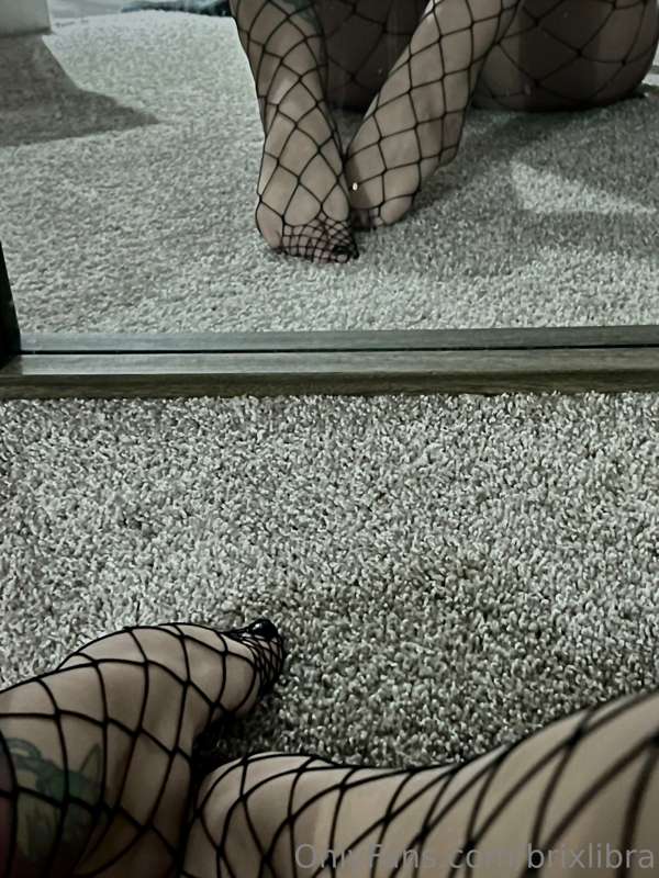 brixlibra image #0