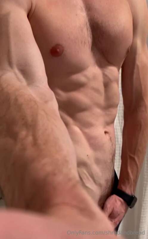 shredandbread